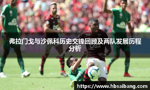 弗拉门戈与沙佩科历史交锋回顾及两队发展历程分析