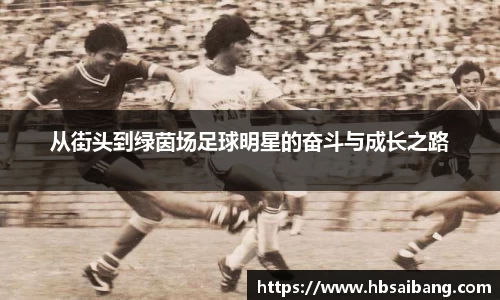 从街头到绿茵场足球明星的奋斗与成长之路
